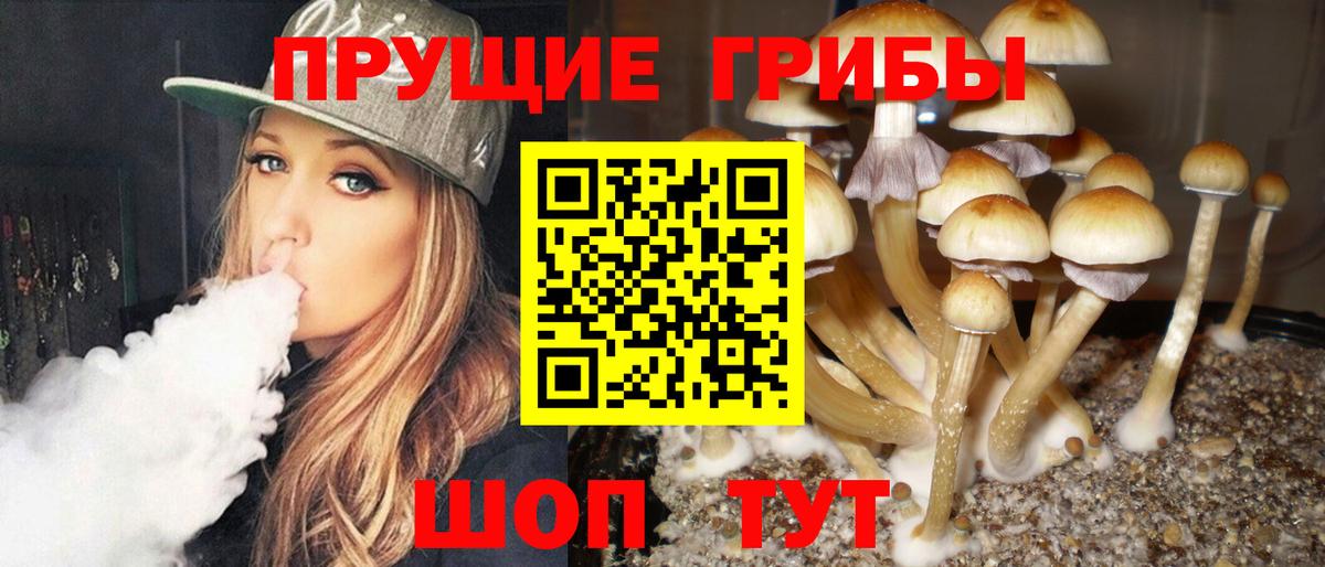 где купить наркоту  Вход с VPN  Горячий Ключ  Галлюциногенные грибы мицелий 