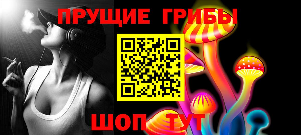 Псилоцибиновые грибы мицелий Горячий Ключ